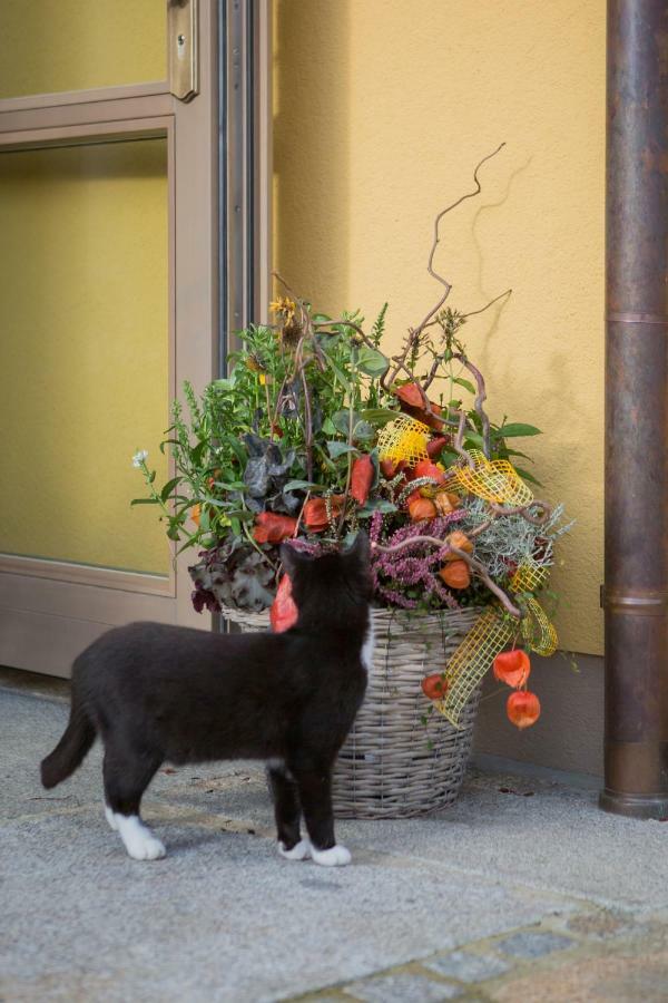 Pension Raupennest Mit Blockhaussauna Bautzen Buitenkant foto